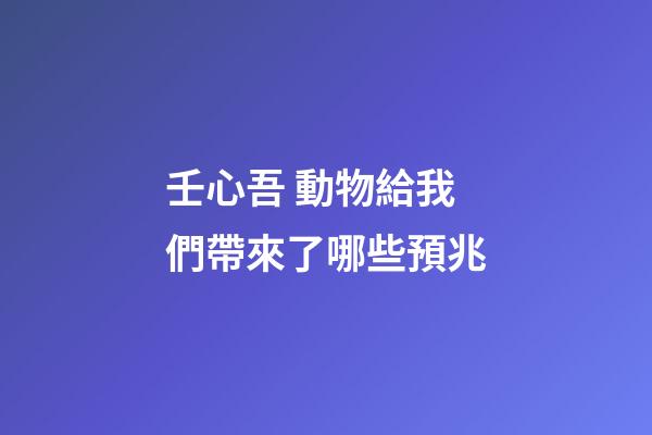 壬心吾 動物給我們帶來了哪些預兆